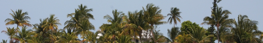 Bahamas 2009